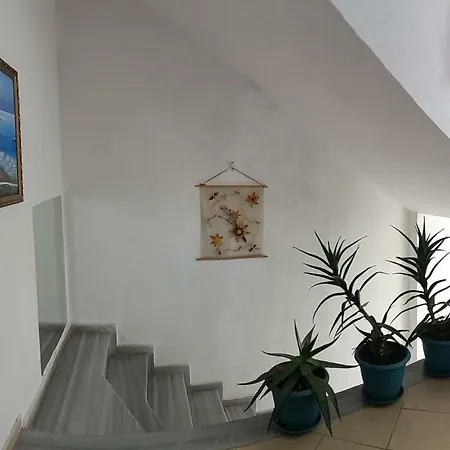 Seaview Markela Apartment *